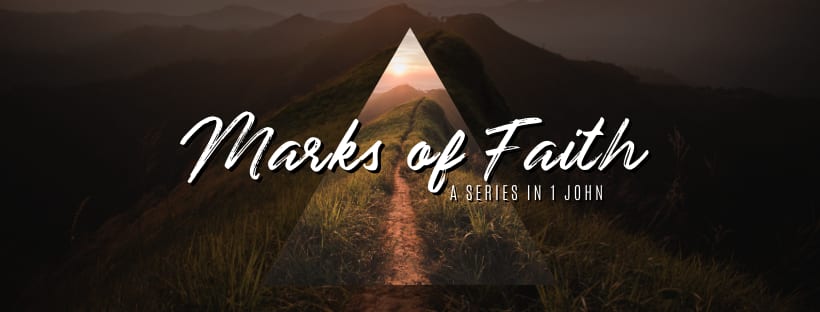 Marks of Faith series art
